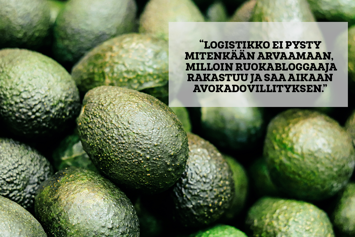 logistikonavokadodilemma2